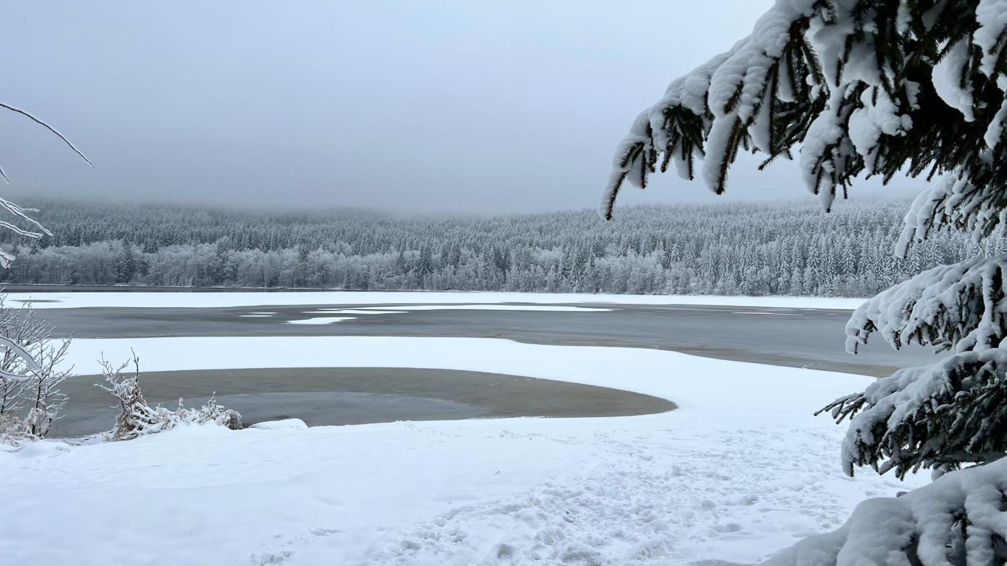 Hauslipno Bungalov Na Lipne Lipno nad Vltavou Extérieur photo
